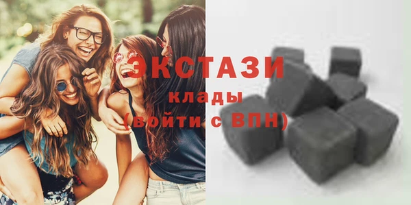 индика Новодвинск