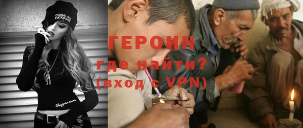 индика Новодвинск