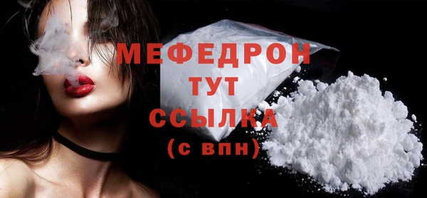 индика Новодвинск