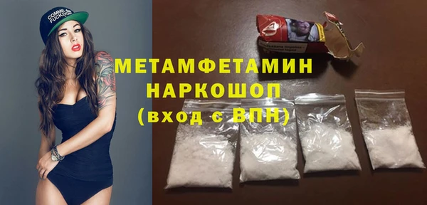 индика Новодвинск