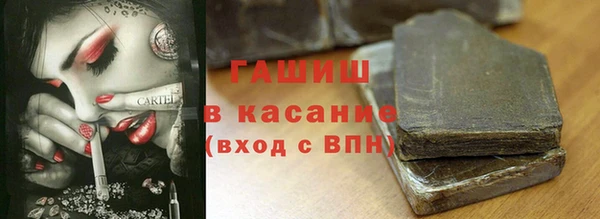 индика Новодвинск
