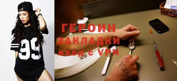 индика Новодвинск