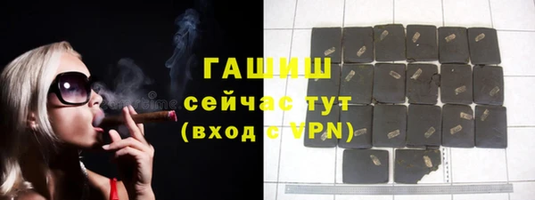 индика Новодвинск