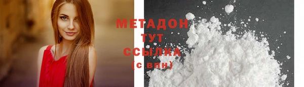 индика Новодвинск