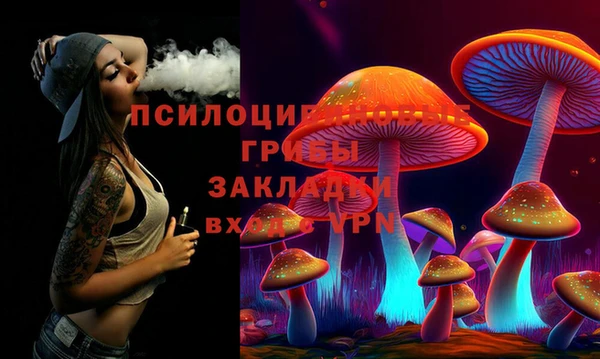 mdma Новозыбков