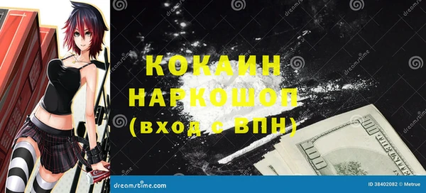 индика Новодвинск