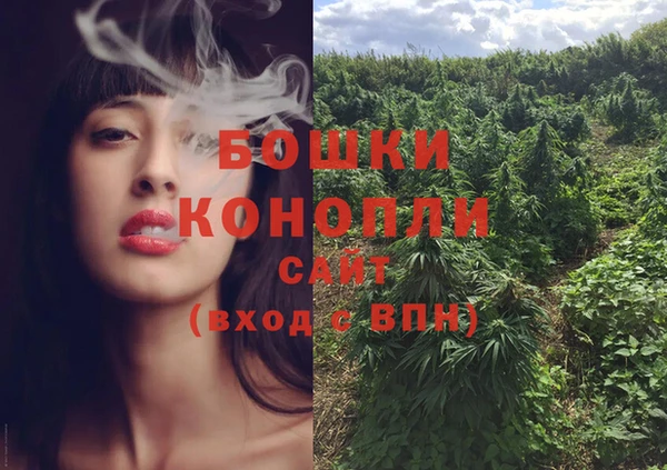 индика Новодвинск