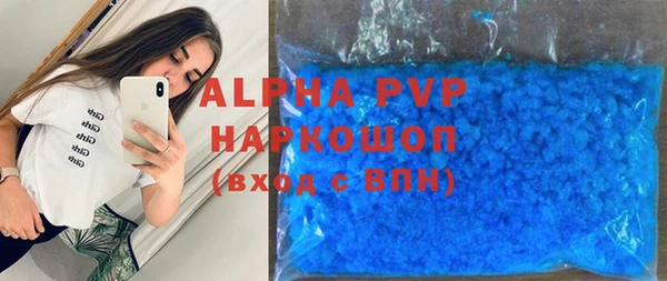индика Новодвинск