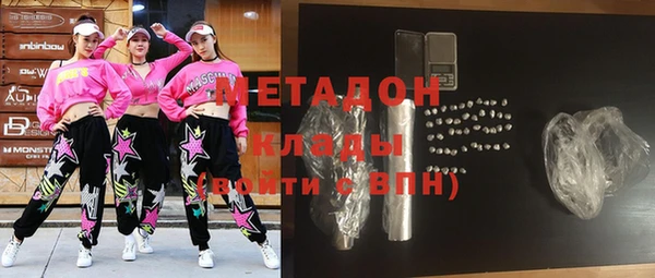 индика Новодвинск