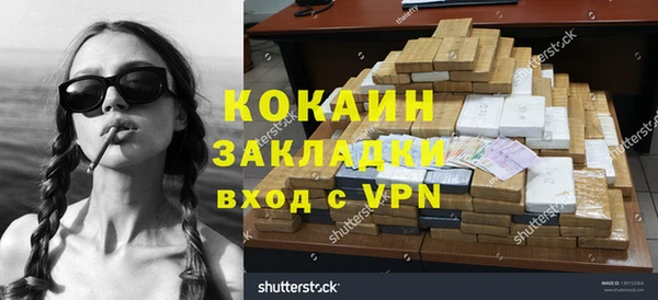 индика Новодвинск