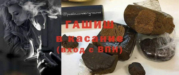 индика Новодвинск