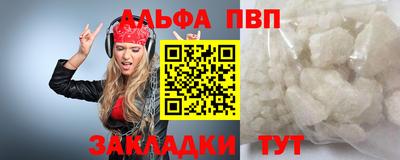 амф Кингисепп