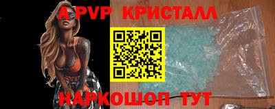 амф Кингисепп