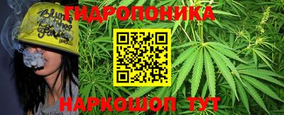 амф Кингисепп