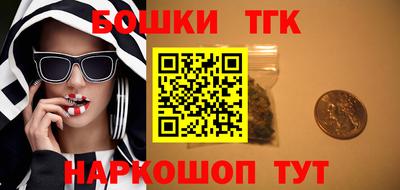 гашик Кимры