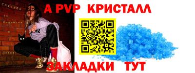 амф Кингисепп