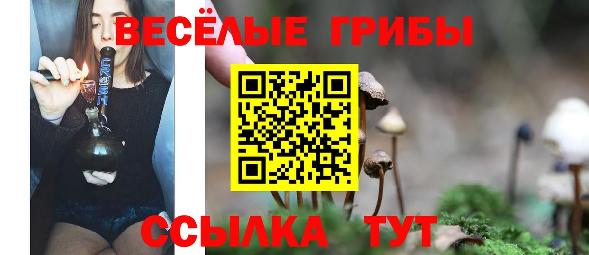 Азов  Псилоцибиновые грибы Psilocybe  Вход с VPN  Галлюциногенные грибы Psilocybine cubensis 