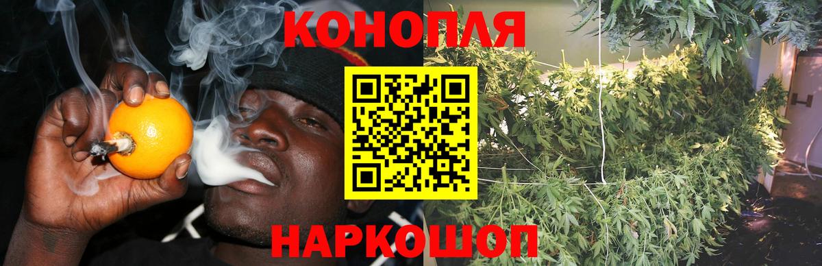 Канабис планчик  Вход с VPN  Азов  Марихуана Bruce Banner  Конопля Bruce Banner  Конопля сатива 